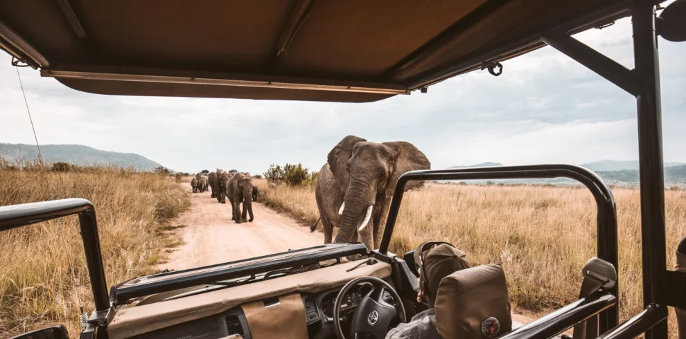 game-drive-safari-kenya